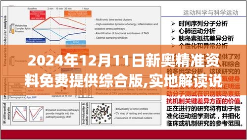 新澳2025精准正版免費資料具有参考性,全面释义、解释与落实