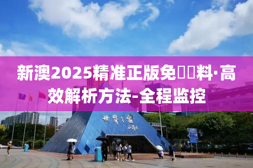 新澳2025精准正版免費資料,警惕虚假宣传,全面解释落实