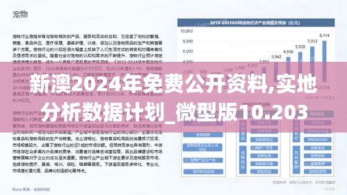 新澳2025年正版资料更新,全面释义解释与落实策略