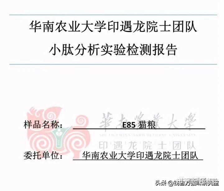 王中王493333WWW马头诗,科学解答解释落实_me59.87.19