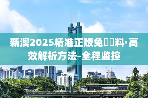 新澳2025精准正版免費資料,警惕虚假宣传,全面解释落实