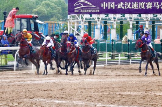 2025今晚澳门开特马开什么,探寻今晚澳门赛马的精彩赛事