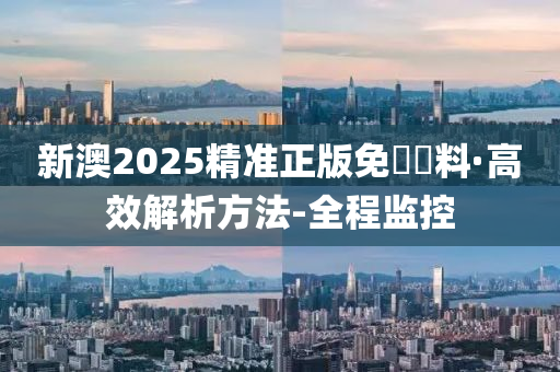 新澳2025精准正版免費資料,警惕虚假宣传,全面解释落实