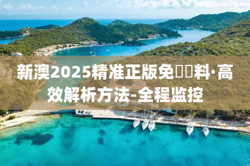 新澳2025精准正版免費資料全面解析与备考策略