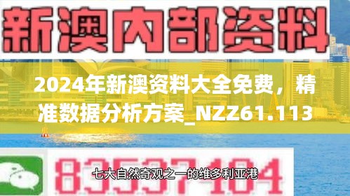 新澳2025精准正版免費資料具有参考性,全面释义、解释与落实